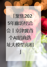 聚焦2025年廊坊经洽会丨京津冀首个AI招商选址大模型亮相
