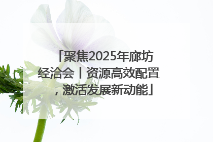 聚焦2025年廊坊经洽会丨资源高效配置，激活发展新动能