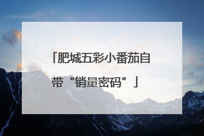 肥城五彩小番茄自带“销量密码”