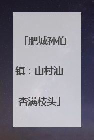 肥城孙伯镇：山村油杏满枝头