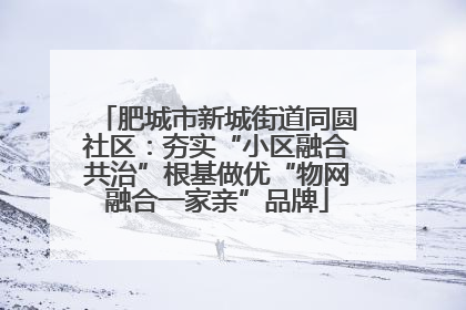 肥城市新城街道同圆社区：夯实“小区融合共治”根基做优“物网融合一家亲”品牌