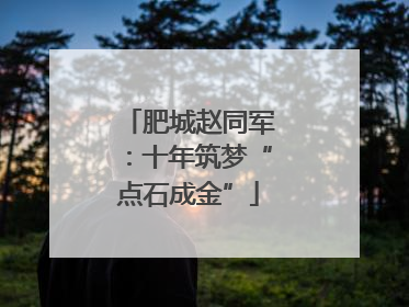 肥城赵同军：十年筑梦“点石成金”