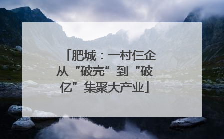 肥城：一村仨企从“破壳”到“破亿”集聚大产业