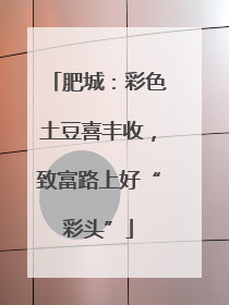 肥城：彩色土豆喜丰收，致富路上好“彩头”