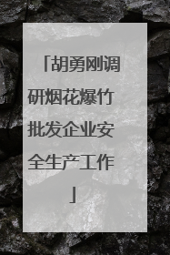 胡勇刚调研烟花爆竹批发企业安全生产工作
