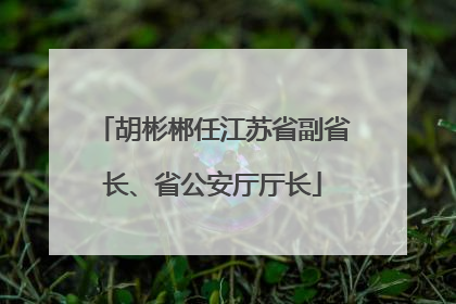 胡彬郴任江苏省副省长、省公安厅厅长