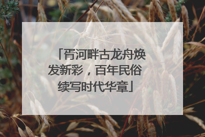 胥河畔古龙舟焕发新彩，百年民俗续写时代华章