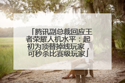 腾讯副总裁回应王者荣耀人机水平：起初为顶替掉线玩家，可秒杀比赛级玩家