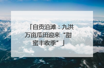 自贡沿滩：九洪万亩瓜田迎来“甜蜜丰收季”