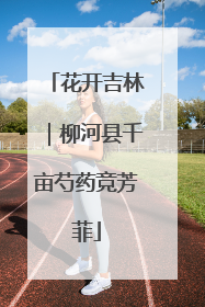 花开吉林｜柳河县千亩芍药竞芳菲