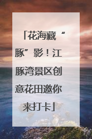 花海藏“豚”影！江豚湾景区创意花田邀你来打卡