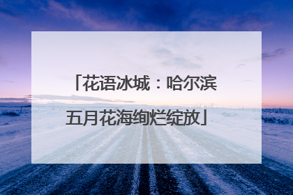花语冰城：哈尔滨五月花海绚烂绽放