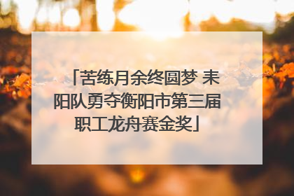 苦练月余终圆梦 耒阳队勇夺衡阳市第三届职工龙舟赛金奖