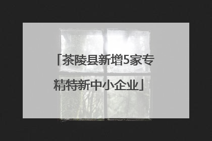 茶陵县新增5家专精特新中小企业