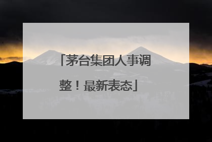 茅台集团人事调整！最新表态