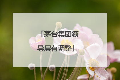 茅台集团领导层有调整
