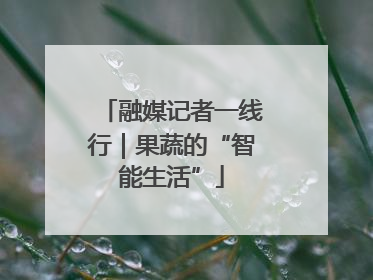 融媒记者一线行｜果蔬的“智能生活”
