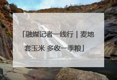 融媒记者一线行｜麦地套玉米 多收一季粮