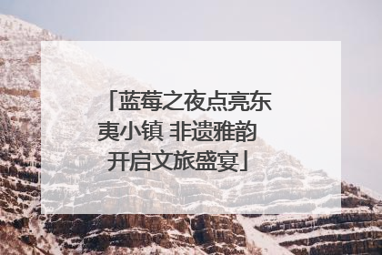 蓝莓之夜点亮东夷小镇 非遗雅韵开启文旅盛宴