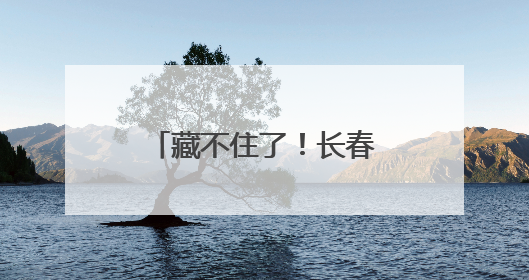 藏不住了！长春街头耐寒月季集体“C位出道”