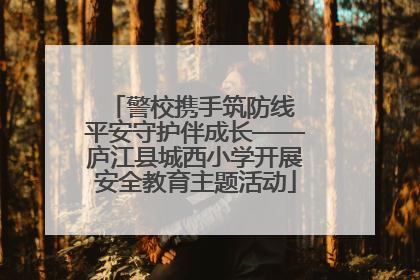 警校携手筑防线 平安守护伴成长——庐江县城西小学开展安全教育主题活动