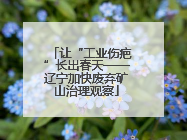 让“工业伤疤”长出春天——辽宁加快废弃矿山治理观察