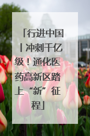 行进中国丨冲刺千亿级！通化医药高新区踏上“新”征程