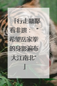 行走赣鄱看非遗：“希望岳家拳的身影遍布大江南北”