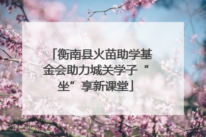 衡南县火苗助学基金会助力城关学子“坐”享新课堂