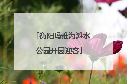 衡阳玛雅海滩水公园开园迎客