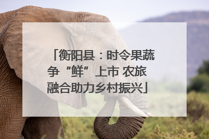 衡阳县：时令果蔬争“鲜”上市 农旅融合助力乡村振兴