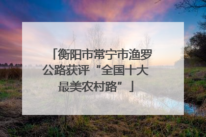 衡阳市常宁市渔罗公路获评“全国十大最美农村路”