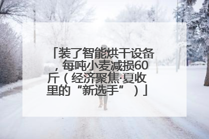 装了智能烘干设备，每吨小麦减损60斤（经济聚焦·夏收里的“新选手”）