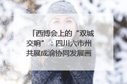 西博会上的“双城交响”：四川六市州共展成渝协同发展画卷｜西博视界