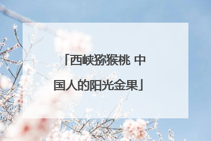 西峡猕猴桃 中国人的阳光金果