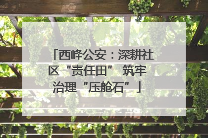西峰公安：深耕社区“责任田” 筑牢治理“压舱石”