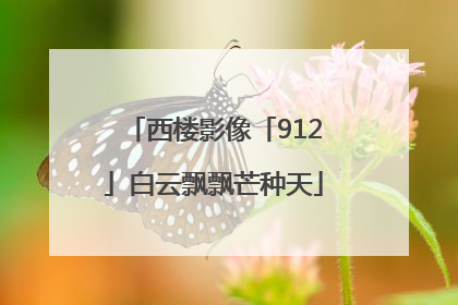 西楼影像「912」白云飘飘芒种天