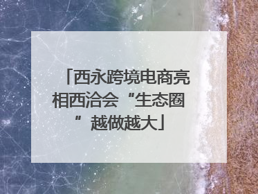 西永跨境电商亮相西洽会“生态圈”越做越大