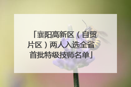 襄阳高新区（自贸片区）两人入选全省首批特级技师名单