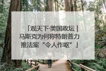 观天下·美国政坛｜马斯克为何称特朗普力推法案“令人作呕”