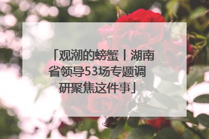观潮的螃蟹丨湖南省领导53场专题调研聚焦这件事