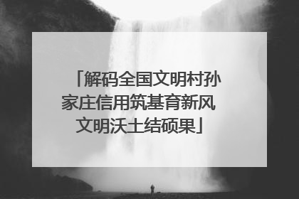 解码全国文明村孙家庄信用筑基育新风文明沃土结硕果