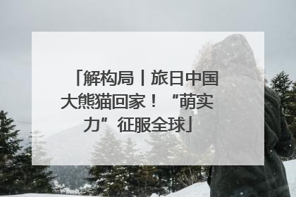 解构局丨旅日中国大熊猫回家！“萌实力”征服全球
