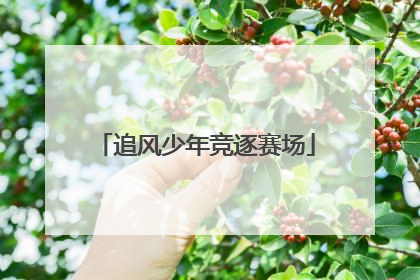 追风少年竞逐赛场