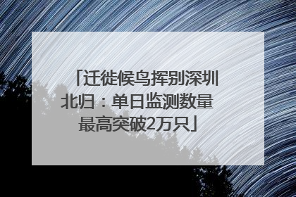 迁徙候鸟挥别深圳北归：单日监测数量最高突破2万只