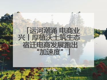 运河潮涌 电商业兴丨厚植沃土筑生态 宿迁电商发展跑出“加速度”