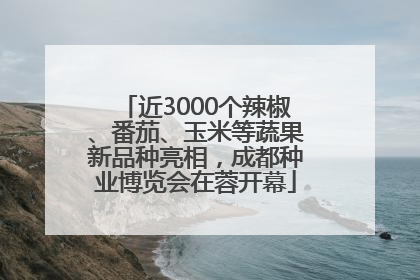近3000个辣椒、番茄、玉米等蔬果新品种亮相，成都种业博览会在蓉开幕