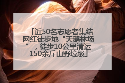 近50名志愿者集结网红徒步地“天鹅林场”，徒步10公里清运150余斤山野垃圾