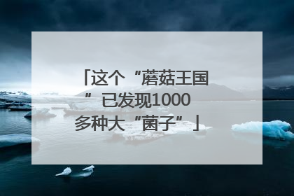 这个“蘑菇王国”已发现1000多种大“菌子”