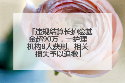 违规结算长护险基金超90万，一护理机构8人获刑、相关损失予以追缴